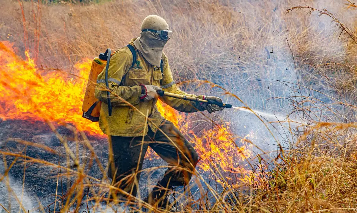 Um novo foco de incêndio está atingindo o Parque Nacional da Chapada dos Veadeiros, em Goiás, causado por raios que atingiram a área durante as recentes chuvas na região - ICMBio