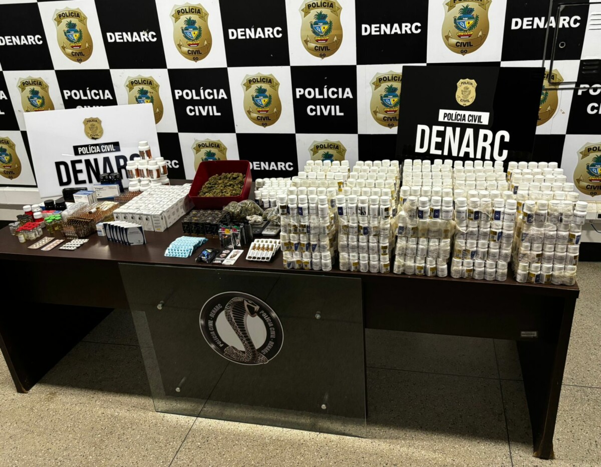 A carga apreendida foi avaliada em aproximadamente R$ 500 mil - PCGO