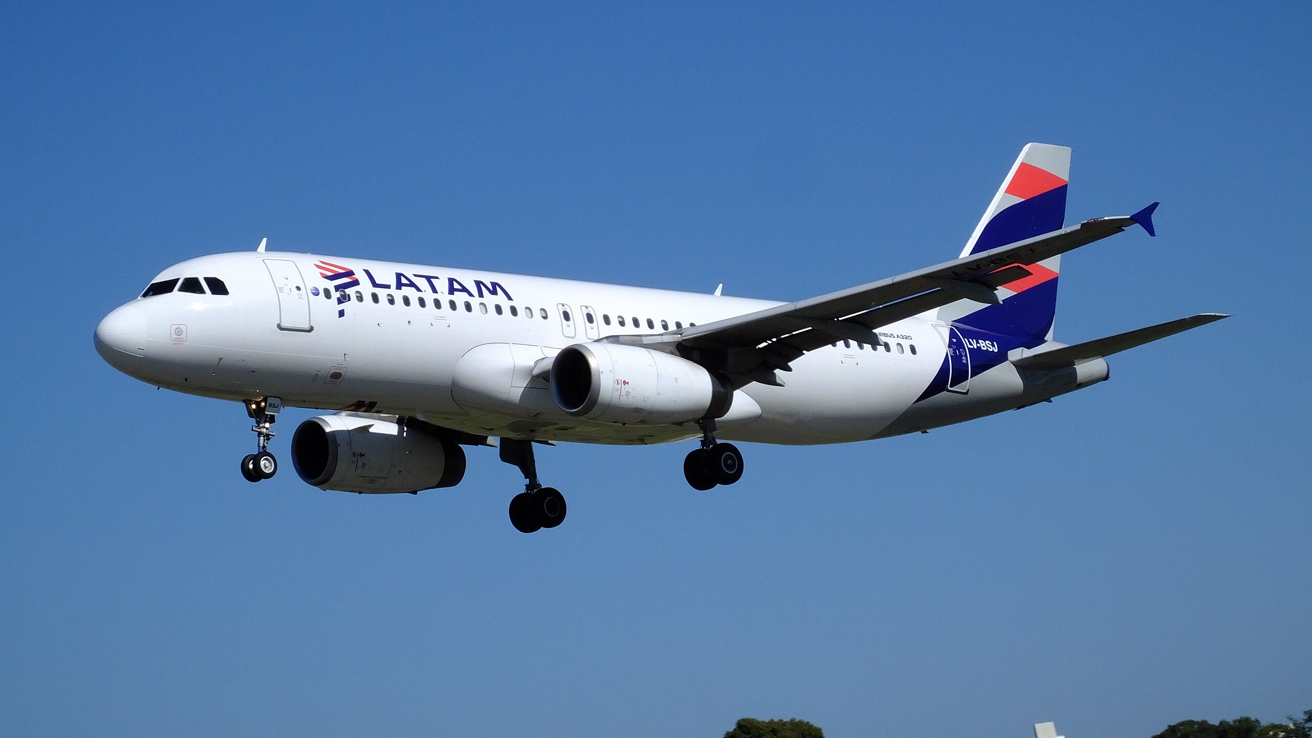 Latam Airlines Foto: Carlos Daniel Dobelli Creative Commons