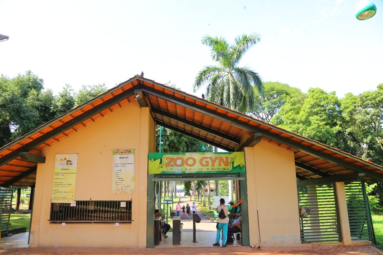 Visitantes podem adquirir ingressos direto na bilheteria, pagando em PIX ou em dinheiro - Divulgação