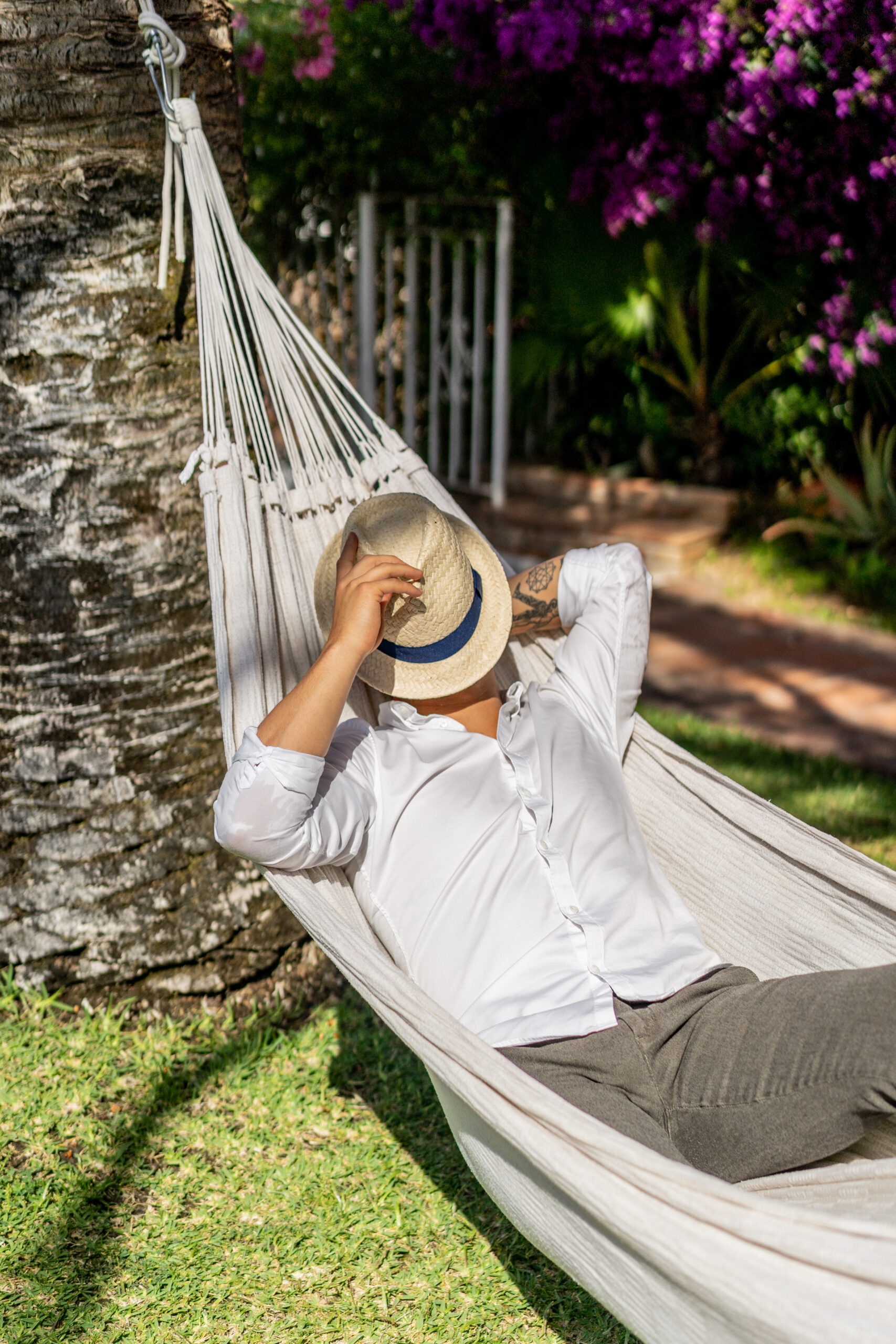 preguiça descanso