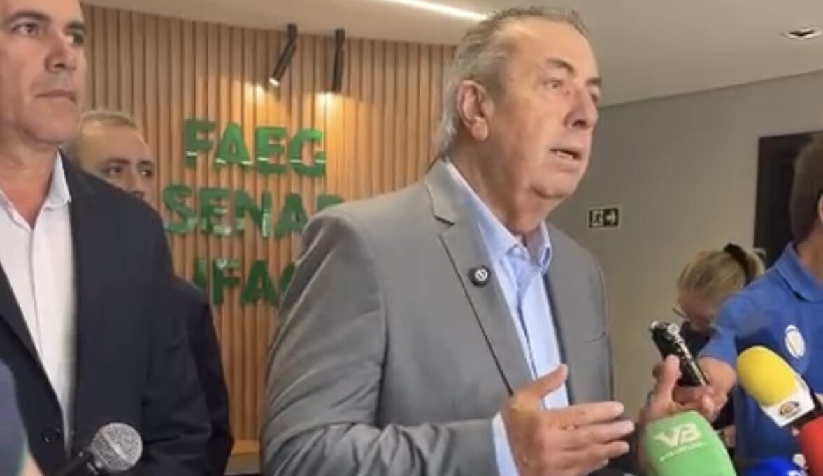 José Mário Schreiner