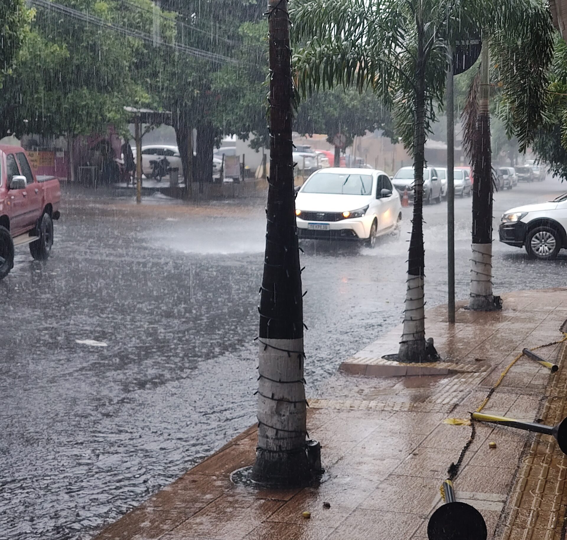 Nos dias de chuva intensa, a orientação da Defesa Civil é que motoristas evitem transitar por ruas alagadas. O Instituto Nacional de Meteorologia (INMET) . Chuva Goiás emitiu alerta de chuvas intensas Goiás para este sábado (21), com previsão de tempestades isoladas e risco de cortes de energia e queda de galhos. Em Goiânia, a probabilidade de precipitação é de 55% durante o dia e sobe para 70% à noite. As temperaturas variam entre 19°C e 28°C, com céu nublado e possibilidade de chuva contínua no período noturno. Em Aparecida de Goiânia, o cenário é semelhante: pancadas de chuva e trovoadas, com temperaturas entre 19°C e 28°C. A probabilidade de chuva é de 55% durante o dia e 65% à noite, e os índices de umidade podem chegar a 90%. O alerta de chuvas intensas Goiás também se estende a outras regiões, como o Distrito Federal, onde há previsão de céu fechado e pancadas fortes e rápidas. A Defesa Civil orienta a população a evitar áreas alagadas, não atravessar ruas com acúmulo de água e não se abrigar debaixo de árvores ou estruturas metálicas durante descargas elétricas. Moradores de encostas devem observar rachaduras em muros e inclinação de postes. Em caso de perigo imediato, os contatos de emergência são Defesa Civil (199) e Corpo de Bombeiros (193). O alerta de chuvas intensas Goiás faz parte de um cenário nacional de instabilidade. No Sul, há alertas de temporais no Rio Grande do Sul e Santa Catarina; no Sudeste, São Paulo permanece sob atenção; e no Nordeste, alertas de nível laranja (perigo) foram registrados para o Oeste Maranhense. A recomendação é que os moradores das regiões afetadas acompanhem os boletins meteorológicos e adotem medidas preventivas. Foto: Dhayane Marques
