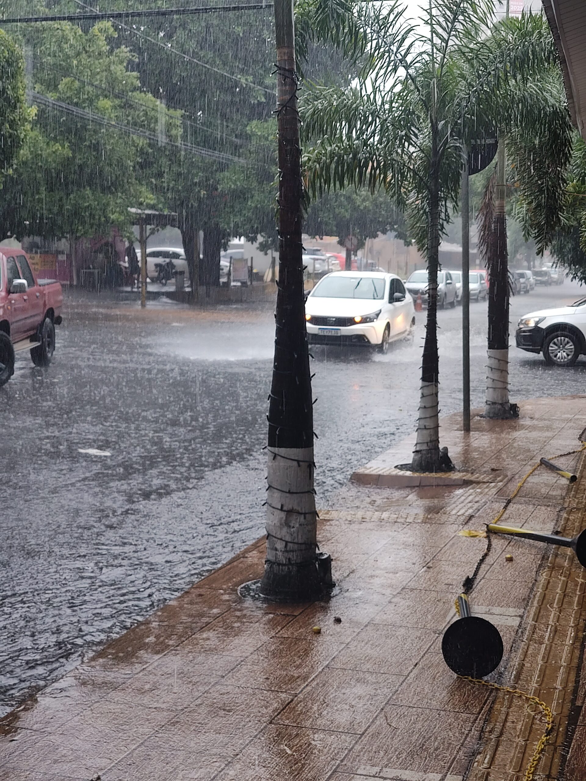 Nos dias de chuva intensa, a orientação da Defesa Civil é que motoristas evitem transitar por ruas alagadas. O Instituto Nacional de Meteorologia (INMET) emitiu alerta de chuvas intensas Goiás para este sábado (21), com previsão de tempestades isoladas e risco de cortes de energia e queda de galhos. Em Goiânia, a probabilidade de precipitação é de 55% durante o dia e sobe para 70% à noite. As temperaturas variam entre 19°C e 28°C, com céu nublado e possibilidade de chuva contínua no período noturno. Em Aparecida de Goiânia, o cenário é semelhante: pancadas de chuva e trovoadas, com temperaturas entre 19°C e 28°C. A probabilidade de chuva é de 55% durante o dia e 65% à noite, e os índices de umidade podem chegar a 90%. O alerta de chuvas intensas Goiás também se estende a outras regiões, como o Distrito Federal, onde há previsão de céu fechado e pancadas fortes e rápidas. A Defesa Civil orienta a população a evitar áreas alagadas, não atravessar ruas com acúmulo de água e não se abrigar debaixo de árvores ou estruturas metálicas durante descargas elétricas. Moradores de encostas devem observar rachaduras em muros e inclinação de postes. Em caso de perigo imediato, os contatos de emergência são Defesa Civil (199) e Corpo de Bombeiros (193). O alerta de chuvas intensas Goiás faz parte de um cenário nacional de instabilidade. No Sul, há alertas de temporais no Rio Grande do Sul e Santa Catarina; no Sudeste, São Paulo permanece sob atenção; e no Nordeste, alertas de nível laranja (perigo) foram registrados para o Oeste Maranhense. A recomendação é que os moradores das regiões afetadas acompanhem os boletins meteorológicos e adotem medidas preventivas. Foto: Dhayane Marques