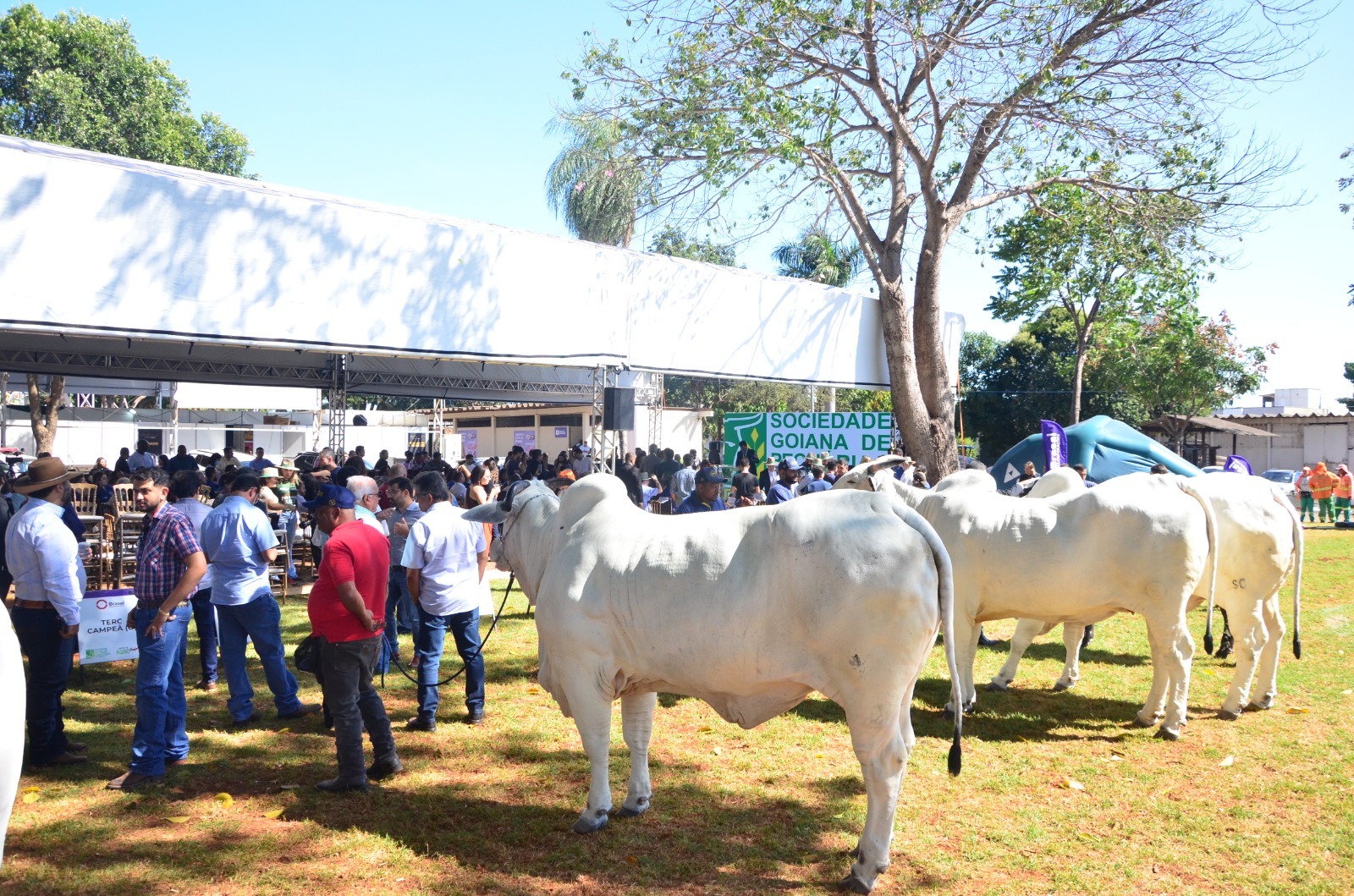 evento agropecuário