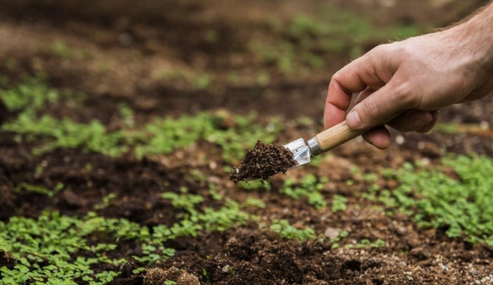 importação de fertilizantes