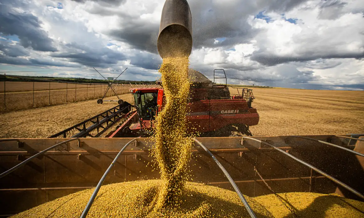 Agro PIB