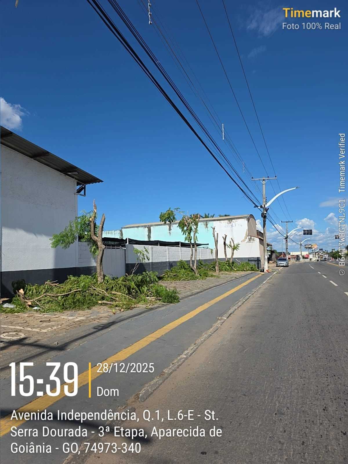 A Semma está relacionando as árvores que foram mutiladas pela Equatorial nos últimos dias para determinar o valor da multa ambiental.