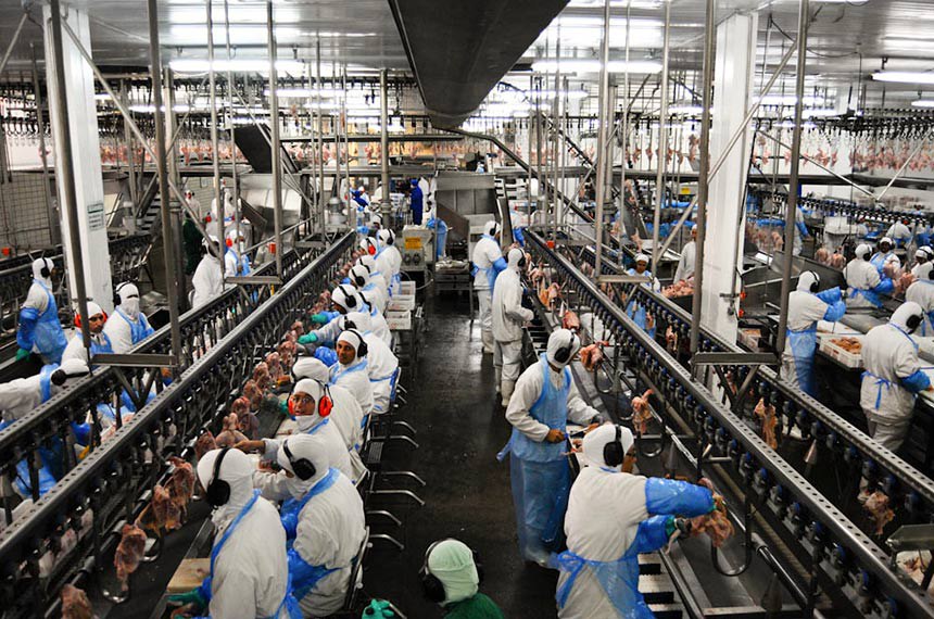 novas empresas Goiás