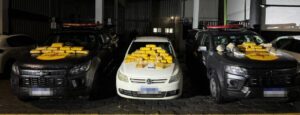 Ao todo, foram apreendidos 30 quilos de drogas, entre cocaína, maconha e skank, durante a operação no setor Pontal Sul, em Aparecida de Goiânia