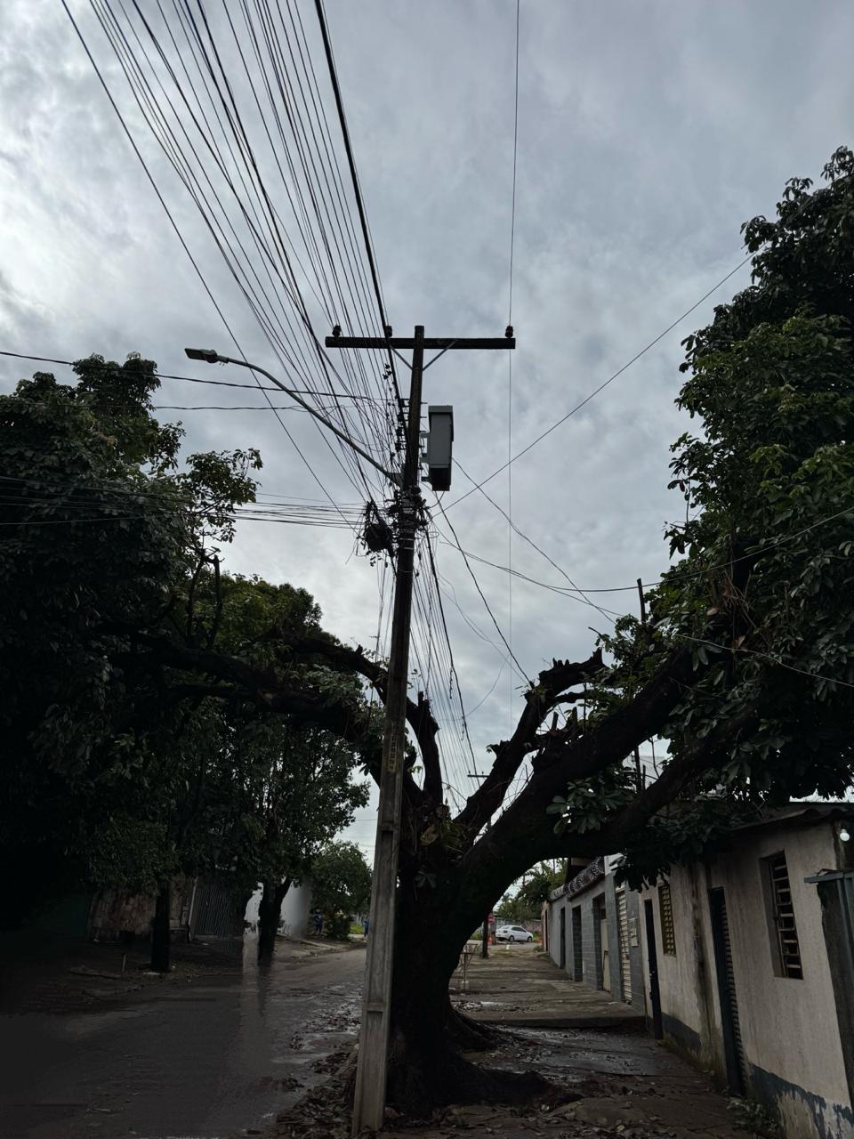 Prefeitura de Goiânia determina suspensão de podas de árvores pela Equatorial em Goiânia