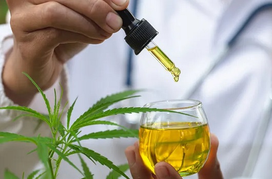 Insônia, ansiedade e dores: mulheres acima dos 45 anos impulsionam uso de cannabis medicinal no Brasil