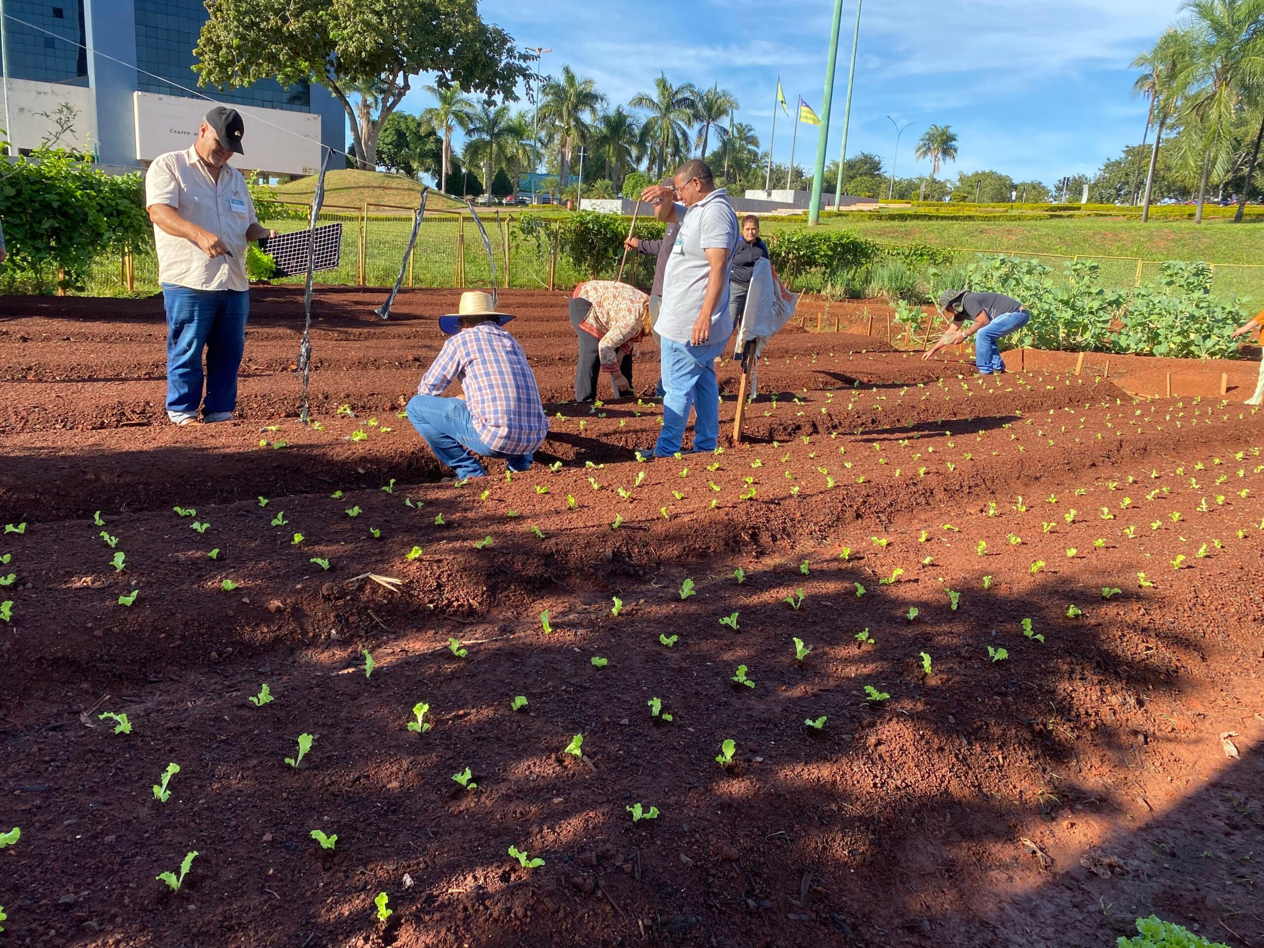 produtores rurais Goiânia
