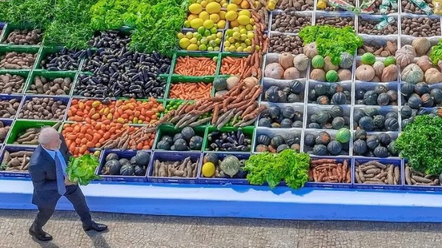 Governo anuncia R$ 450 milhões para fortalecer produção de leite da agricultura familiar