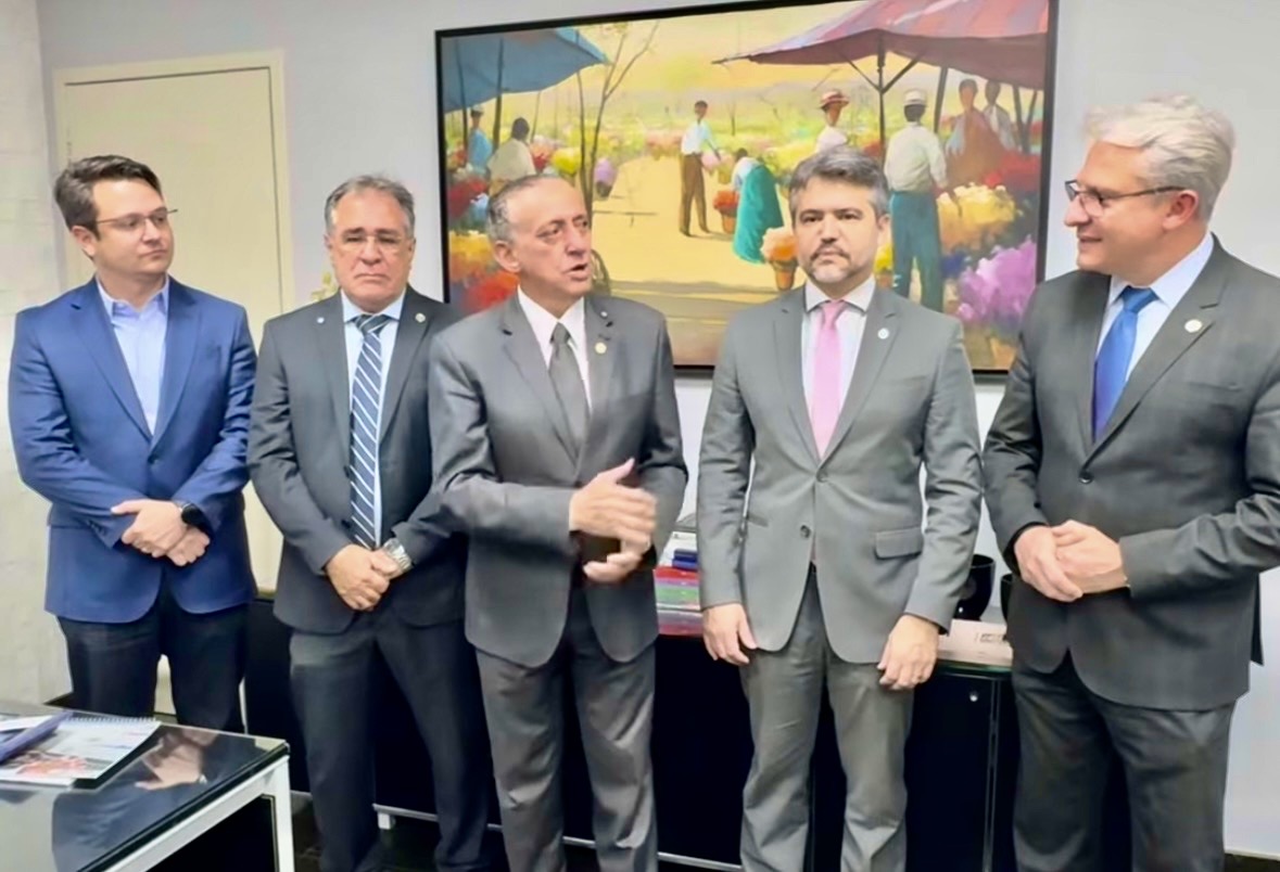 Reunião no Tribunal de Contas dos Municípios (TCMGO) articulada pelo prefeito em exercício, Anselmo Pereira.