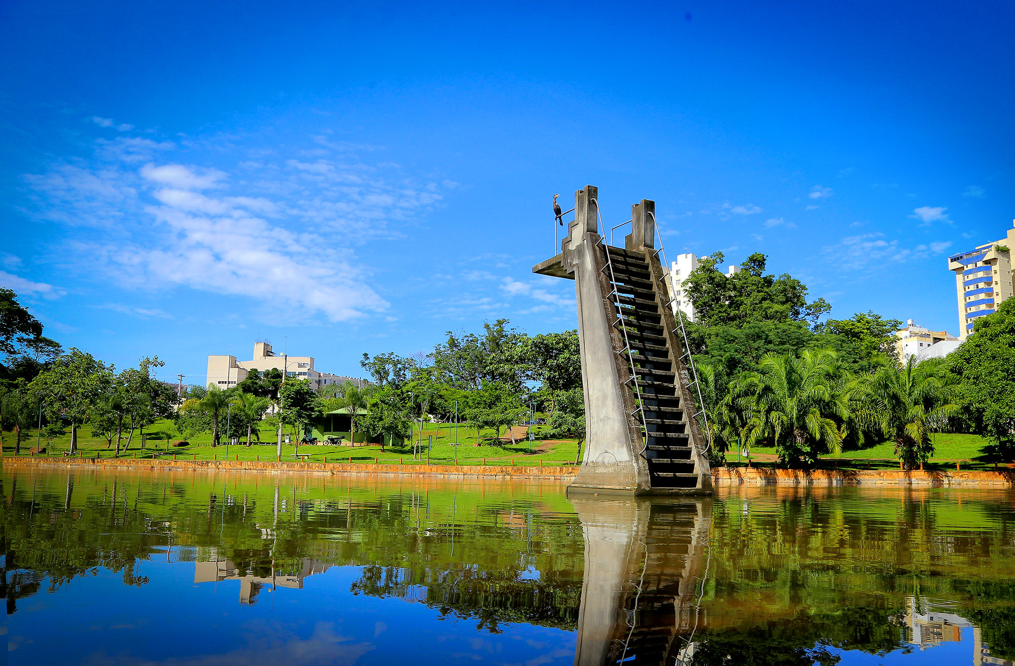 Lago das Rosas - Foto: Jackson Rodrigues
