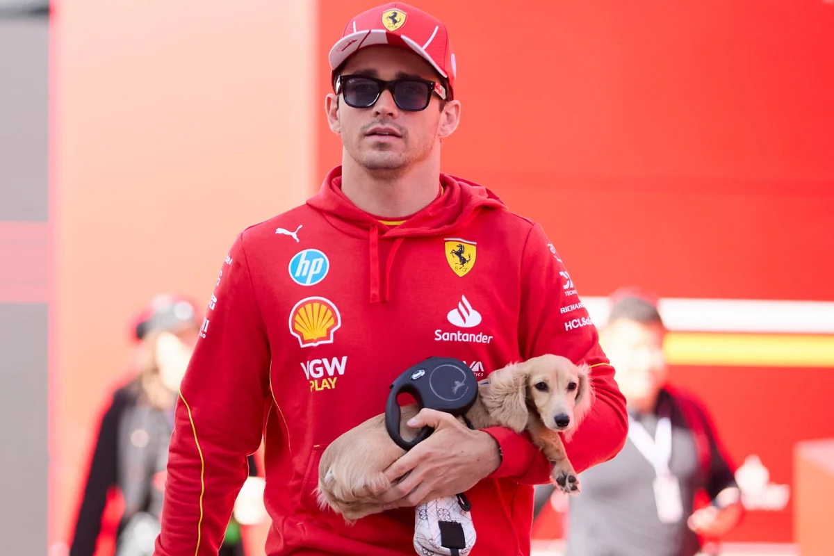 Tal pai, tal filho: Conheça Léo, o cachorro de Charles Leclerc que virou queridinho da Fórmula 1