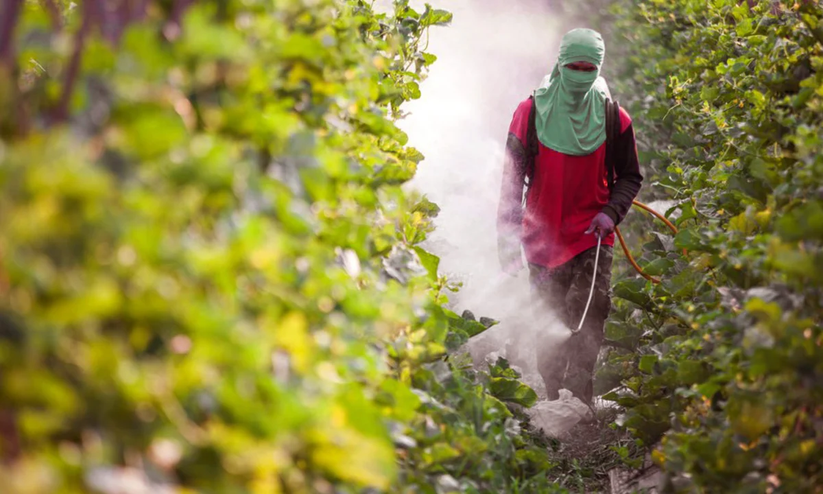 Bayer escolhe Brasil para lançar complemento ao agrotóxico mais polêmico do mundo