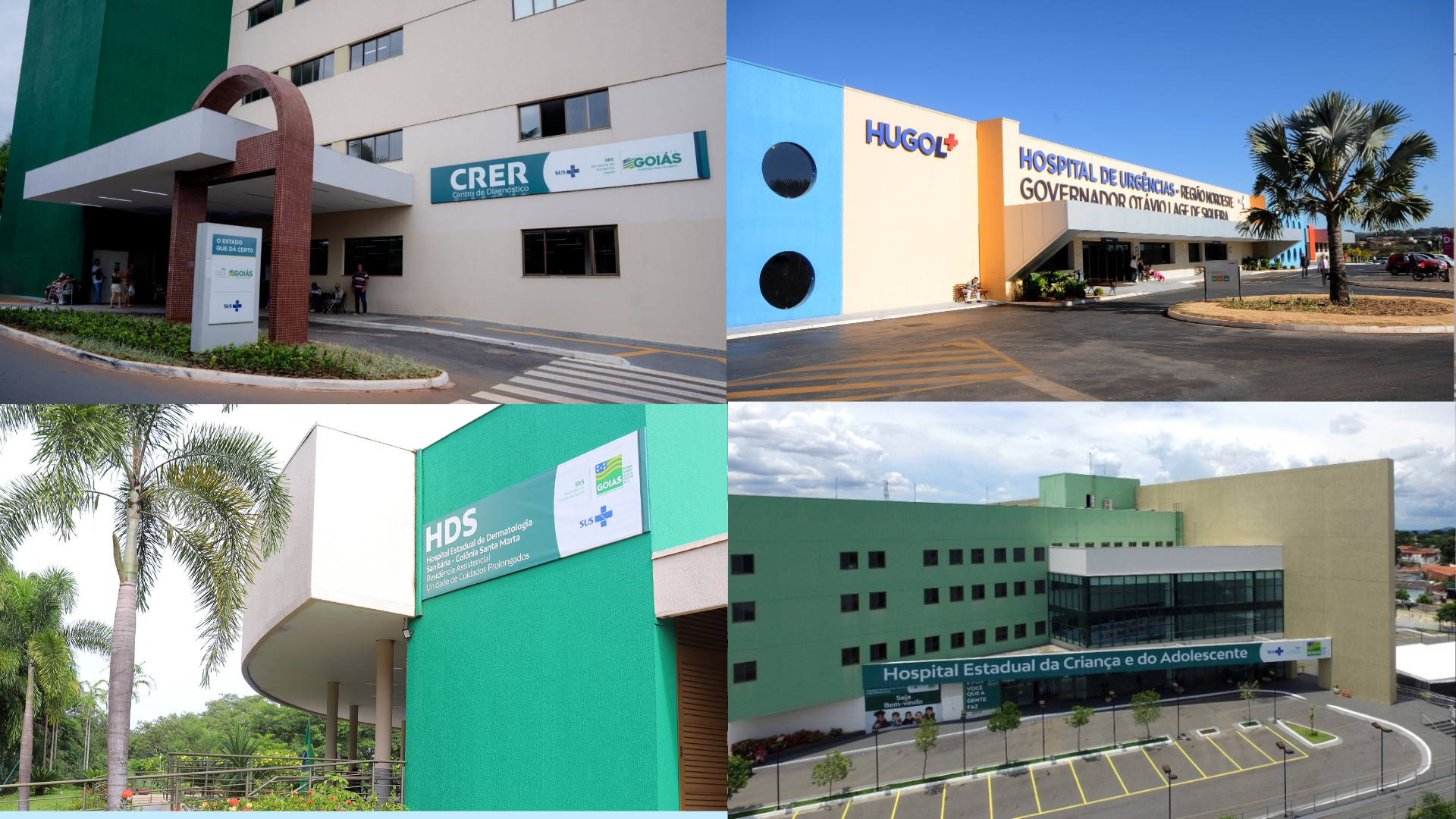 Crer, Hugol, Hecad e HDS passam a atender via WhatsApp - Agir