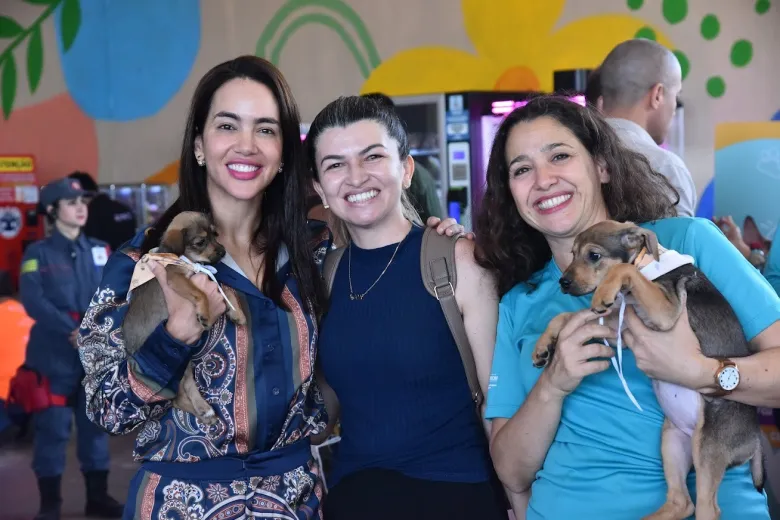 Projeto de castração gratuita de Aparecida fica entre os 20 melhores do Brasil em prêmio nacional do Sebrae