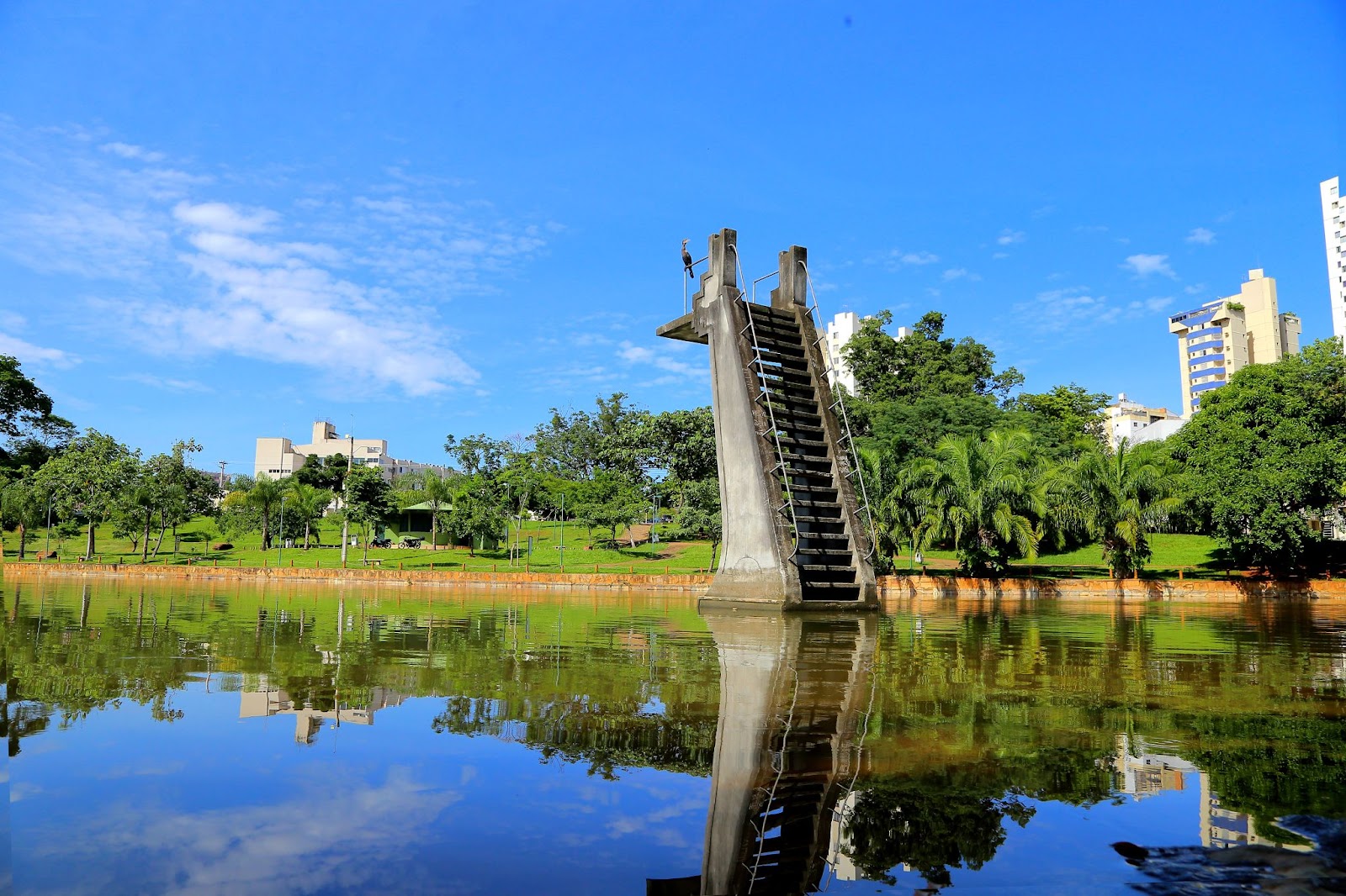 Justiça suspende corte de árvores no Lago das Rosas em Goiânia