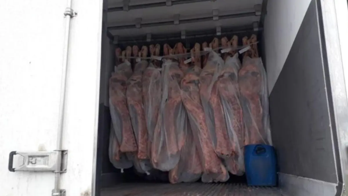 Justiça condena motorista flagrado com 529 kg de cocaína na divisa de Goiás e Mato Grosso