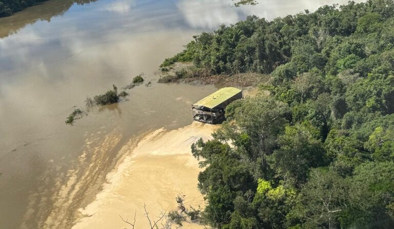 Vereador de Goiânia aprova moção de repúdio ao ICMBio por operação no Pará