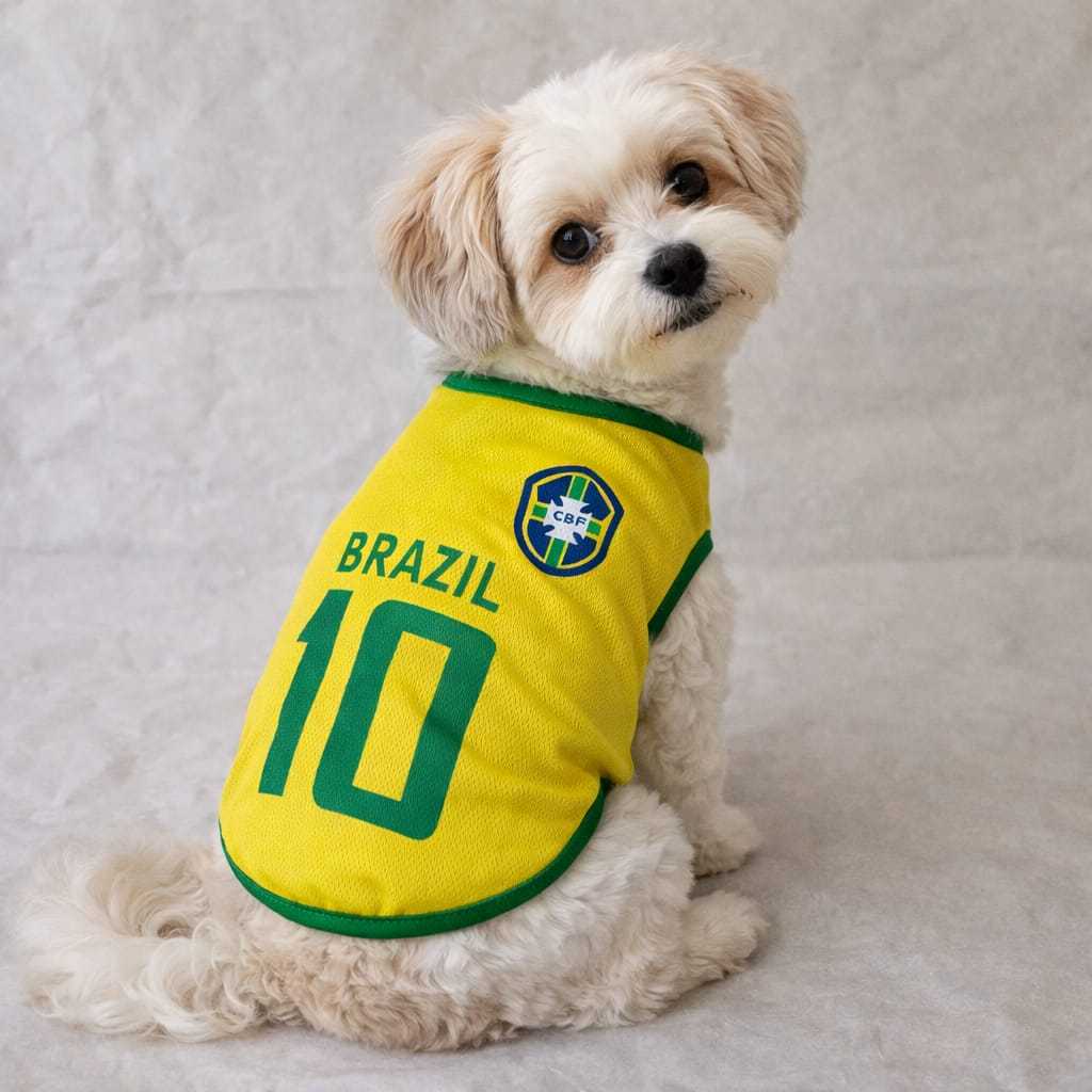 Moda pet entra no clima da Copa e vendas crescem em Goiânia
