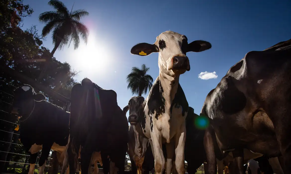 UE confirma veto a carne, peixe e mel do Brasil a partir de setembro