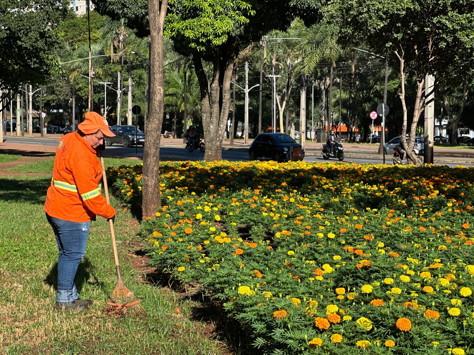 Comurg diz ter revitalizado mais de 1,3 mil praças e áreas verdes em Goiânia