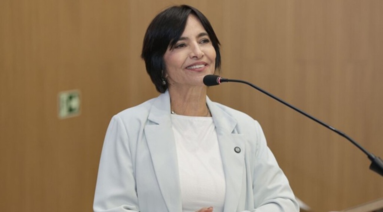 Frente progressista adia decisão sobre majoritária e trava no Senado