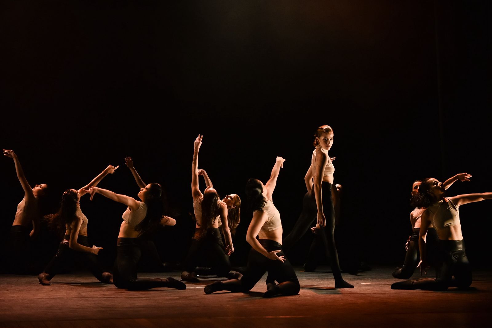 Ecco Cia de Dança