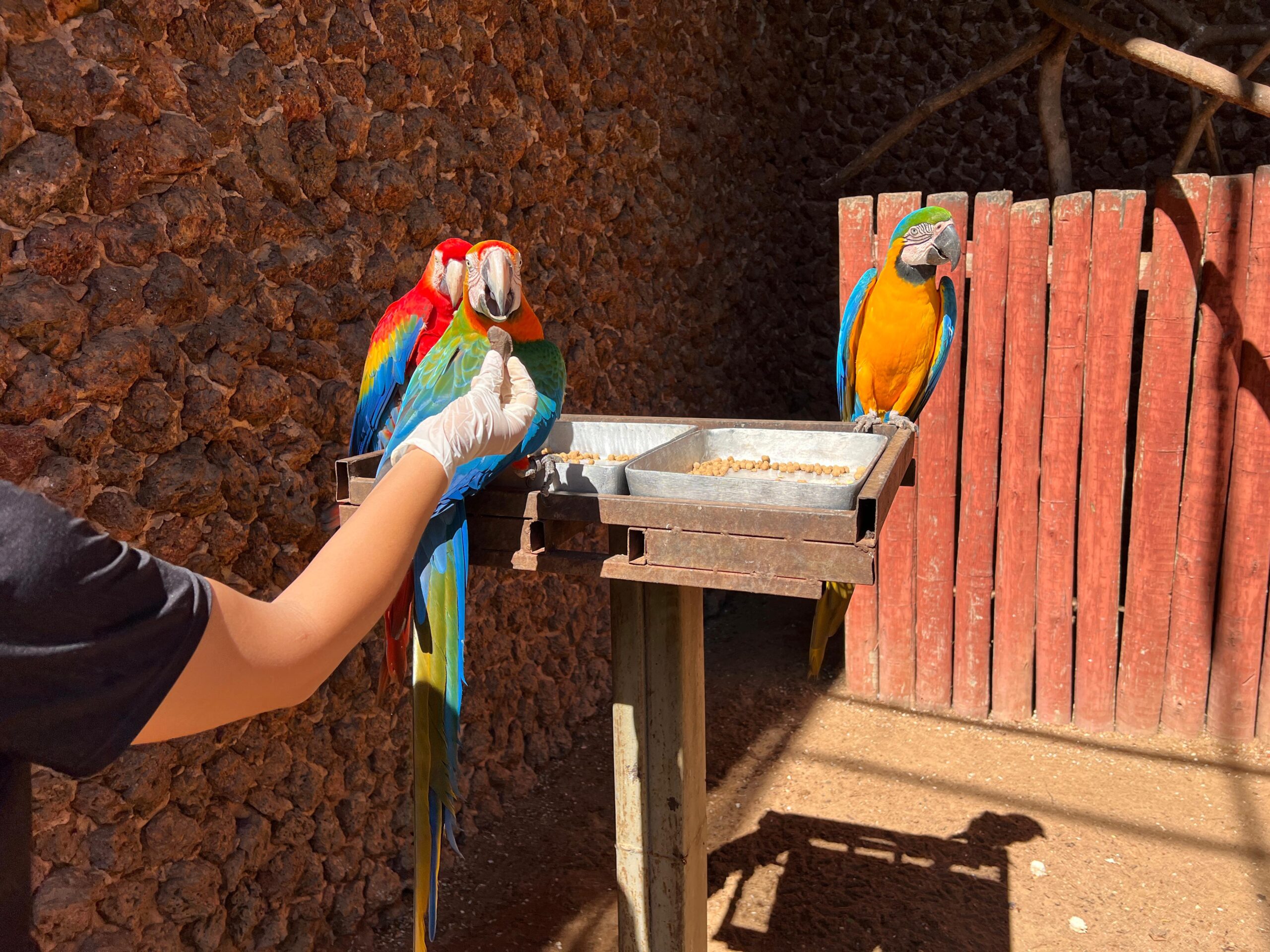 Zoológico