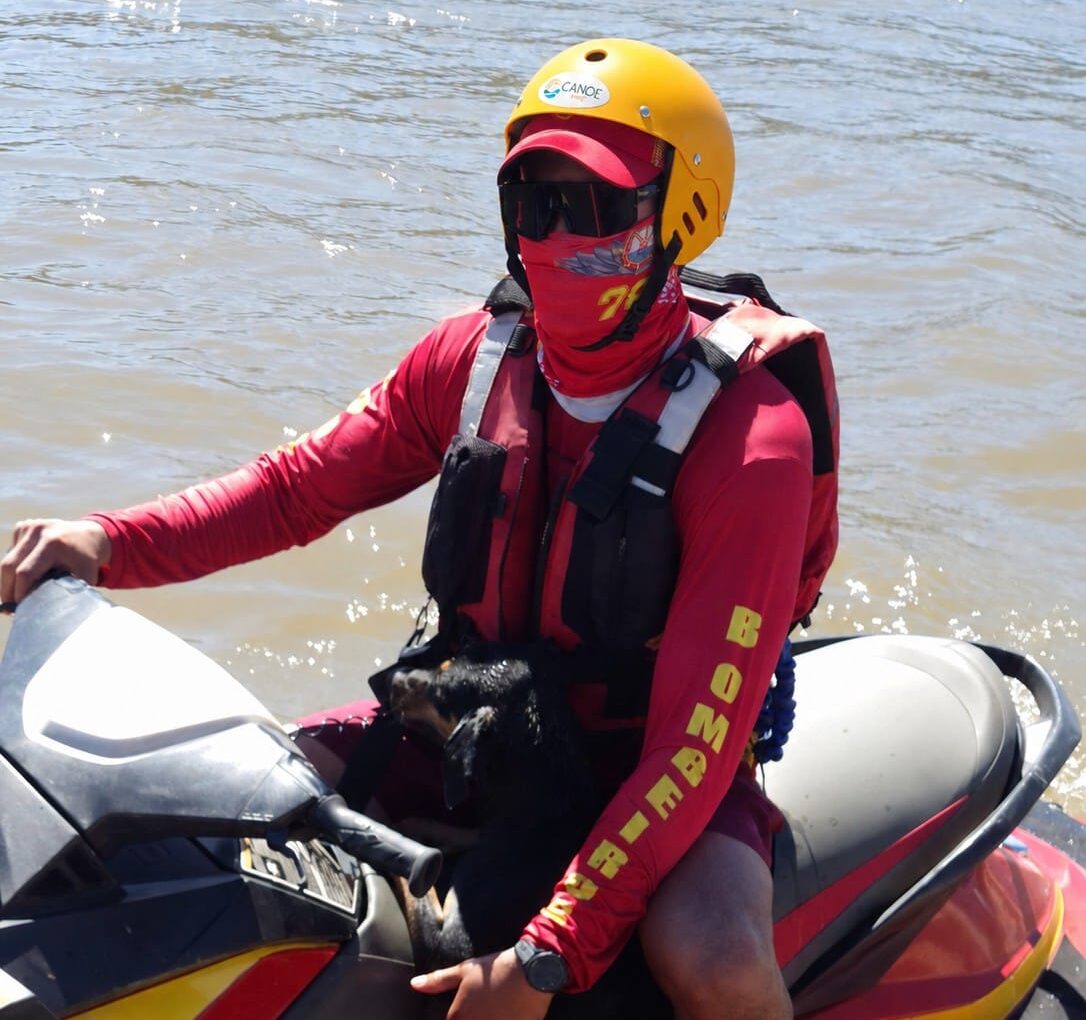 Rio Araguaia Cão
