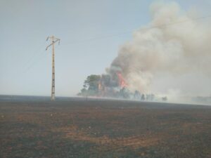 Queimadas provocaram 384 ocorrências na rede elétrica em Goiás em 2025