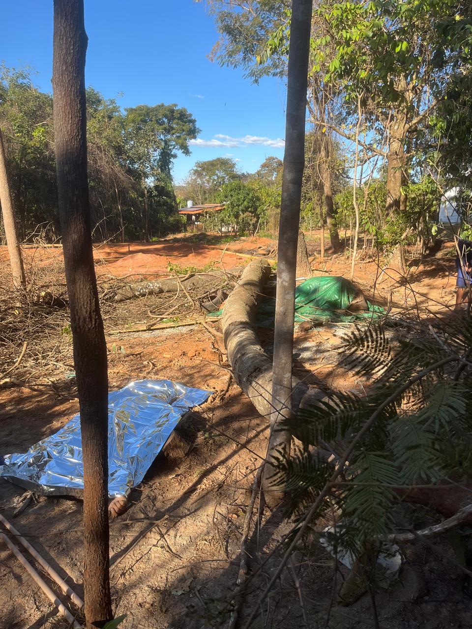 Trabalhador é esmagado por árvore e morre durante poda em Bela Vista de Goiás