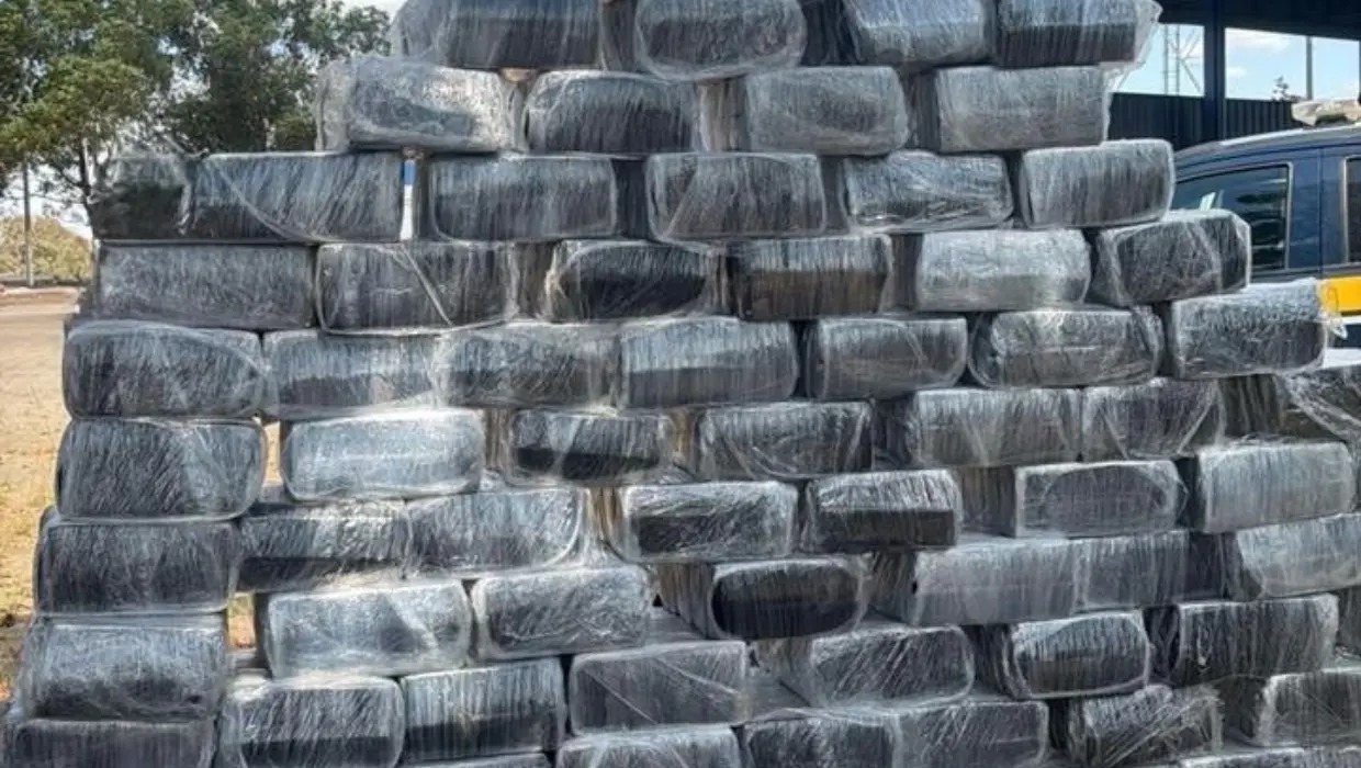 IA ajuda forças de segurança a apreender mais de 2 toneladas de drogas em Goiás