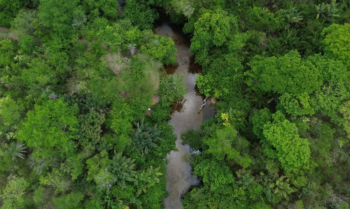 Área queimada no Brasil