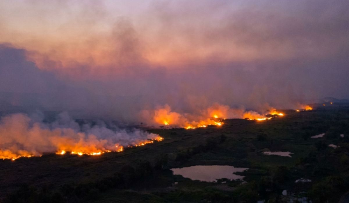 El Niño 2026-2027: Ministério da Saúde prepara SUS para seca, queimadas e ondas de calor