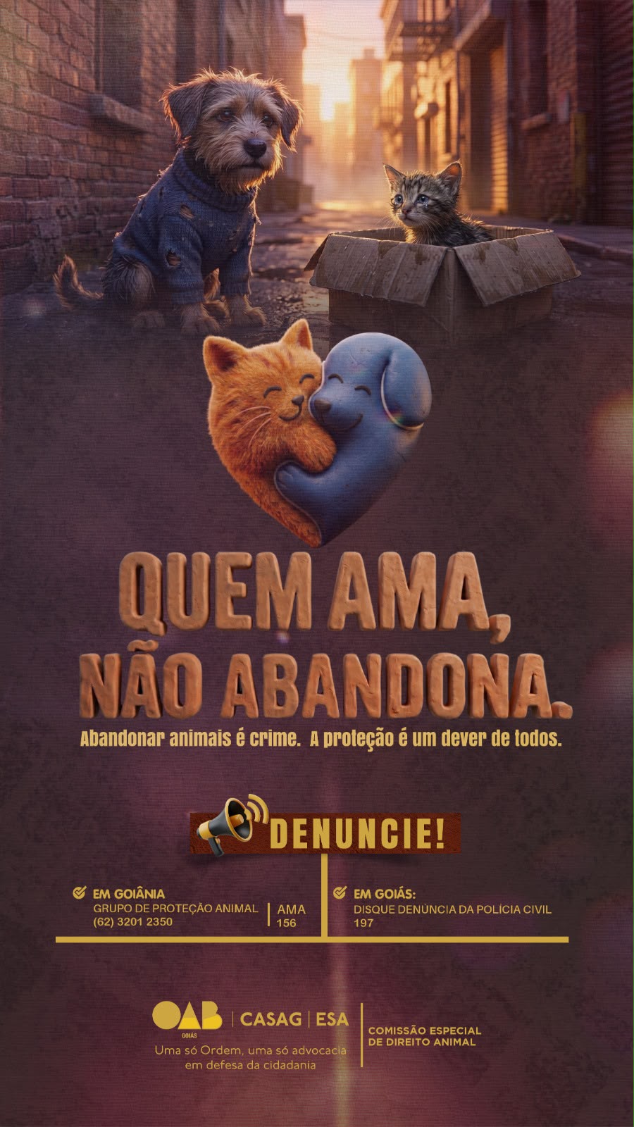 Abandono de animais dispara nas férias e OAB Goiás faz alerta: prática pode levar à prisão