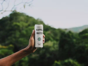 Água Mamba Water tem lotes recolhidos após identificação de bactéria achada em produtos da Ypê