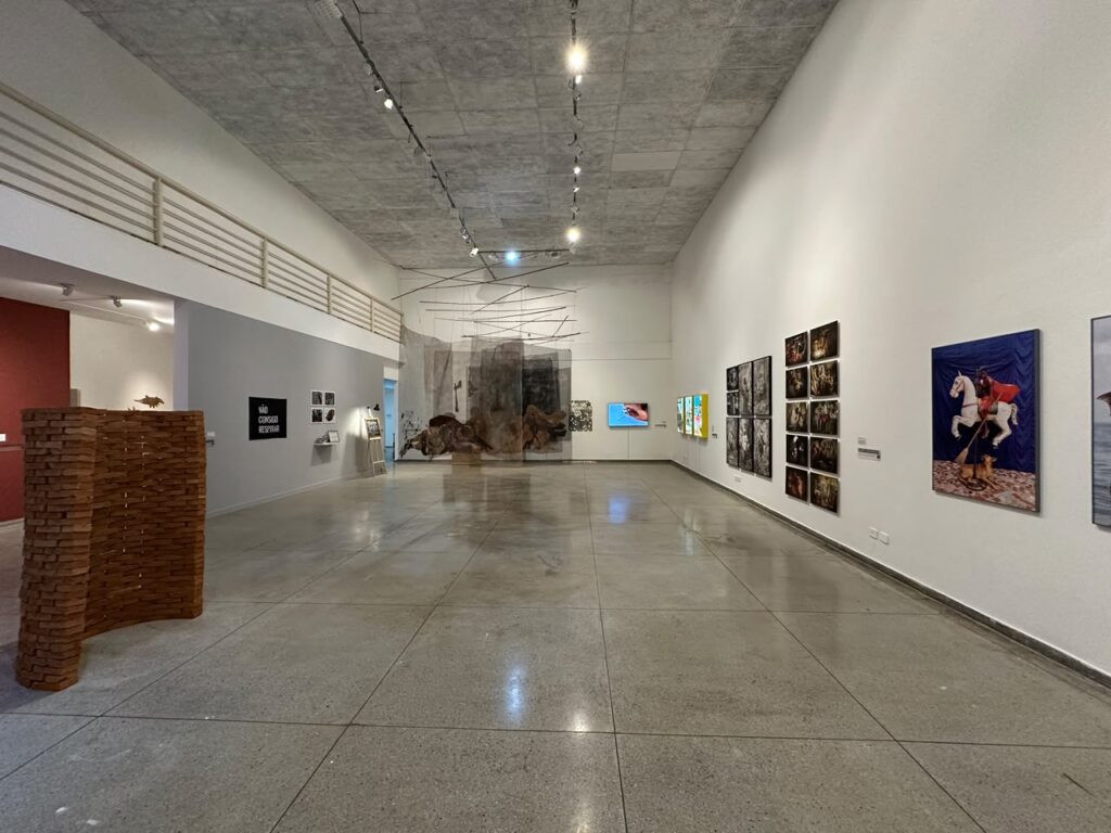 Conheça os artistas que venceram prêmio do 2º Salão Nacional de Arte Contemporânea de Goiás