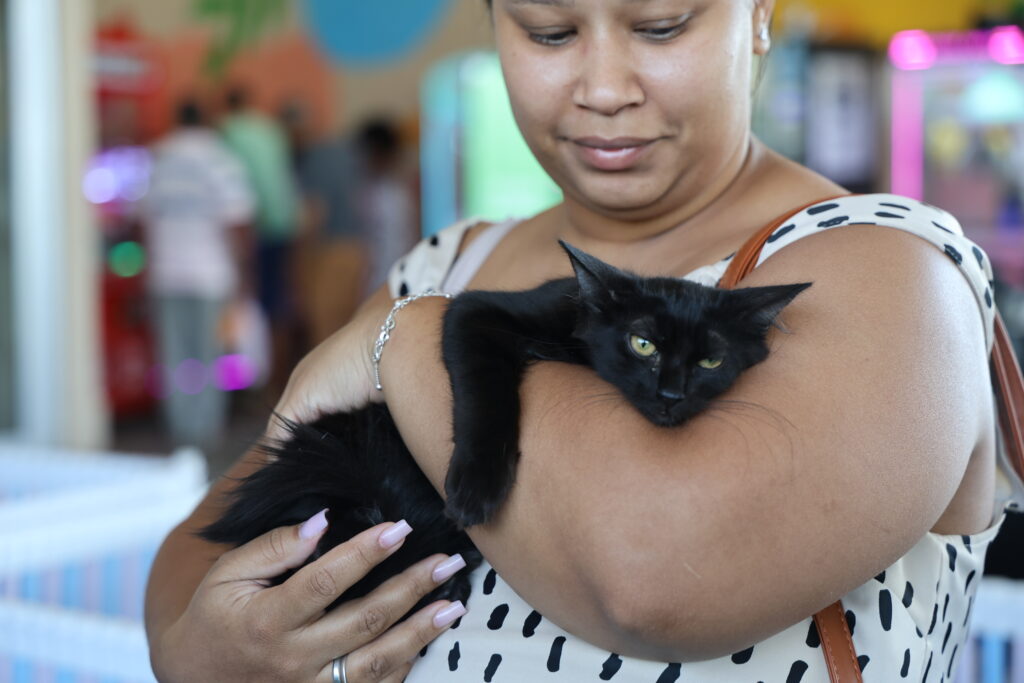 Conheça projeto de Aparecida de Goiânia que completou um ano e encontrou novos lares para 250 animais