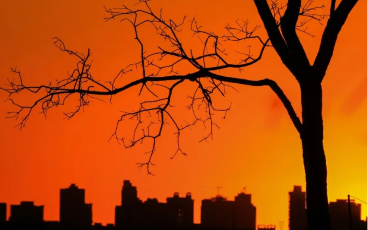 Pesquisa da UFG mostra diferença de 19°C entre bairros de Goiânia e relação com vulnerabilidade social