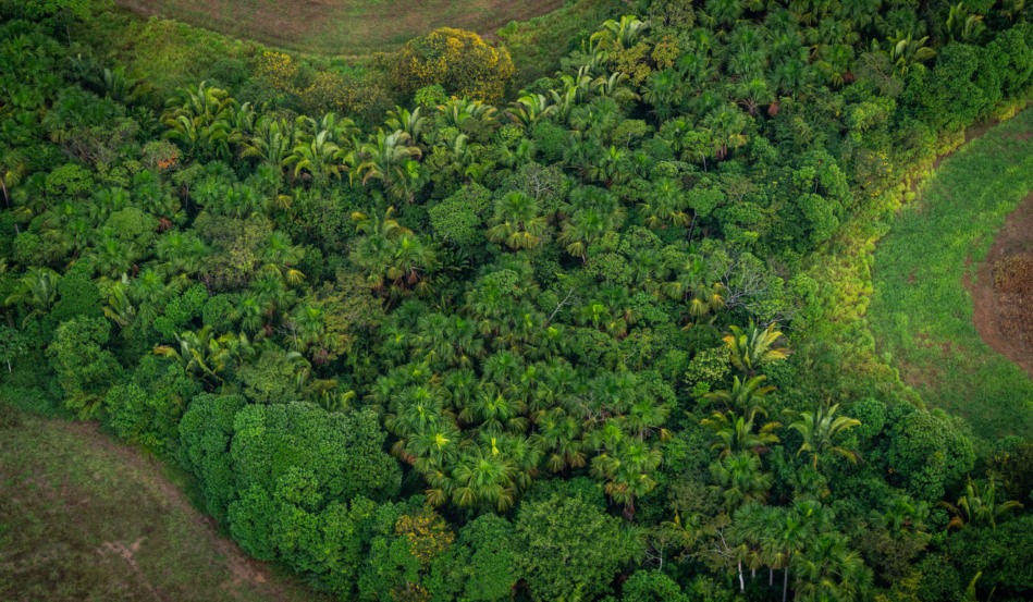 Goiânia reúne investidores e líderes para destravar capital sustentável