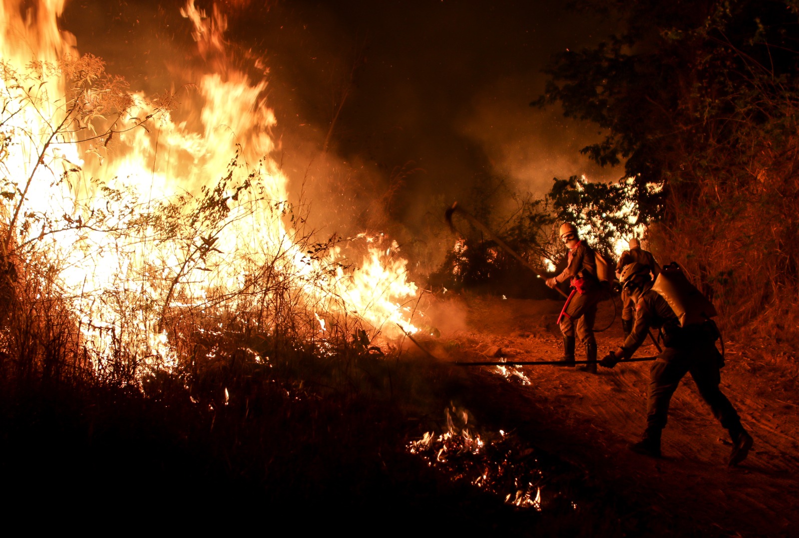 Goiás intensifica combate a incêndios após área queimada crescer 23,3% em 2026