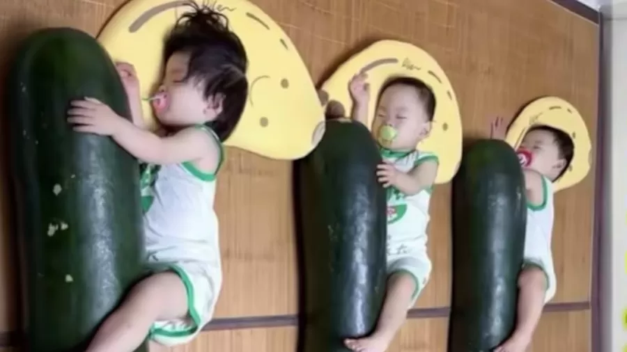 Por que chineses estão levando melões gigantes para a cama?