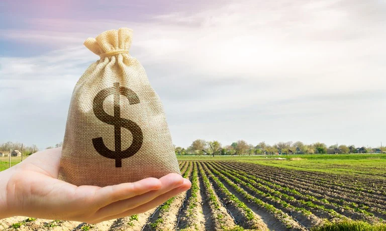 Crédito rural para agricultura empresarial soma R$ 28,2 bilhões no primeiro mês da safra 2026/2027