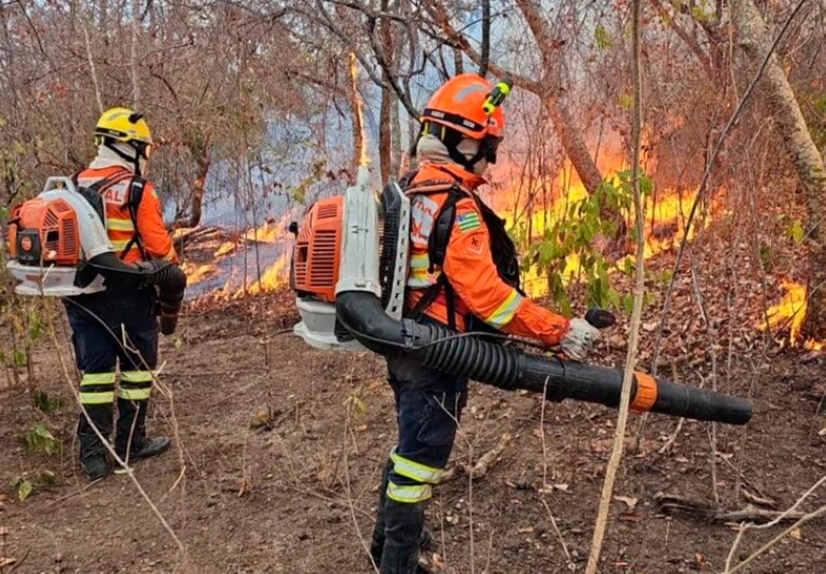 Incêndio florestal mobiliza equipes do Corpo de Bombeiros na zona rural de Caucilândia