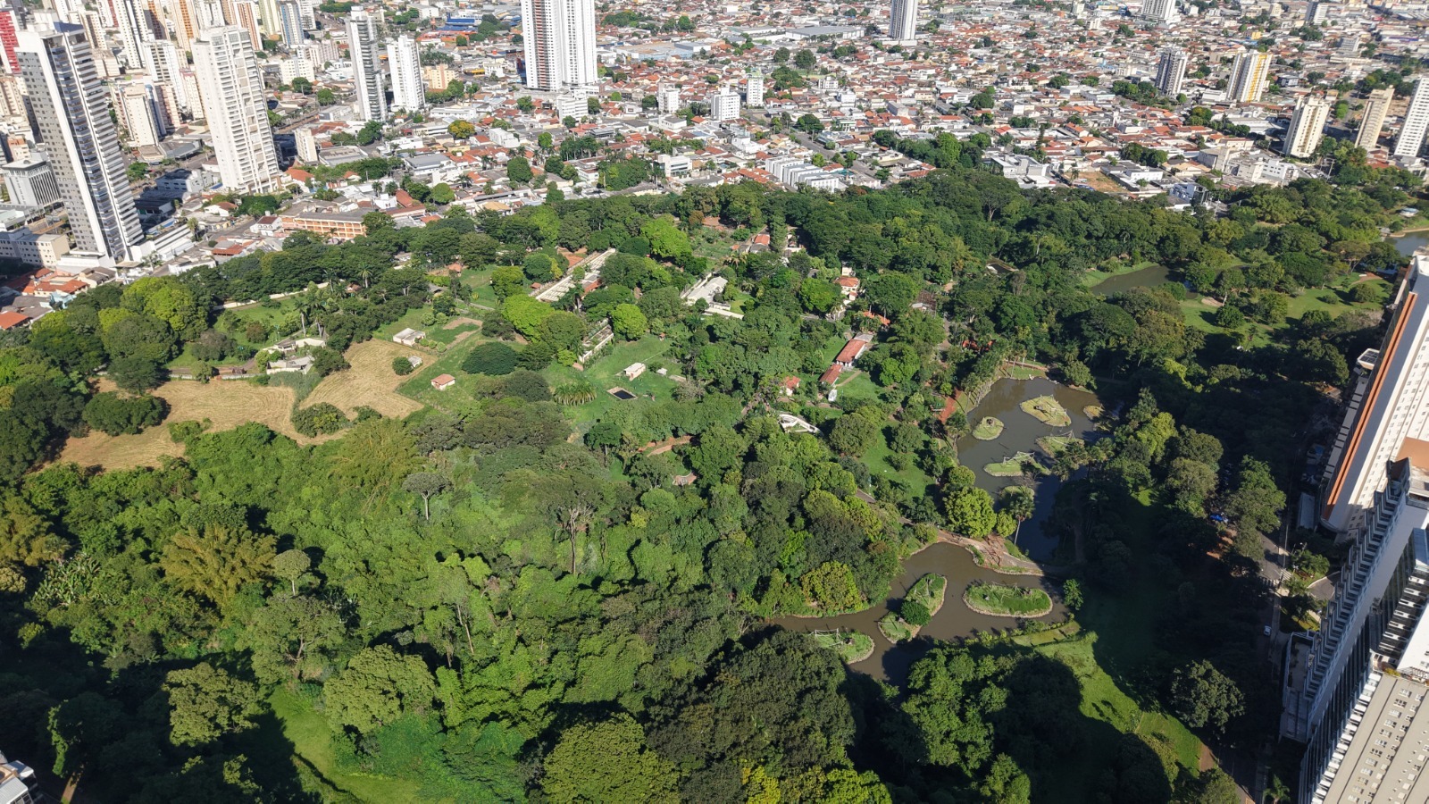 Pesquisa de Demanda Turística de Goiânia ouviu 354 pessoas em pontos estratégicos como Zoológico, Terminal Rodoviário e Aeroporto
